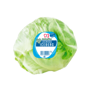 Salade Iceberg